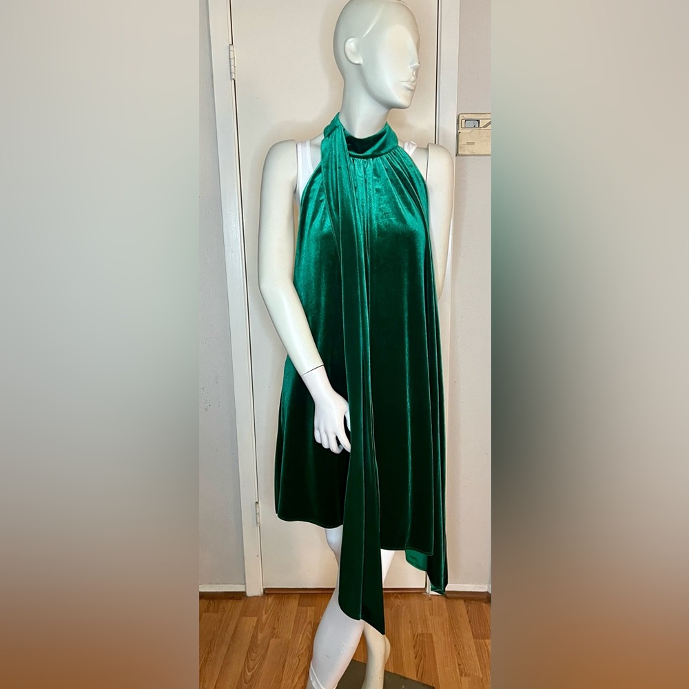 New  Belle Gadgley Mischka Dress